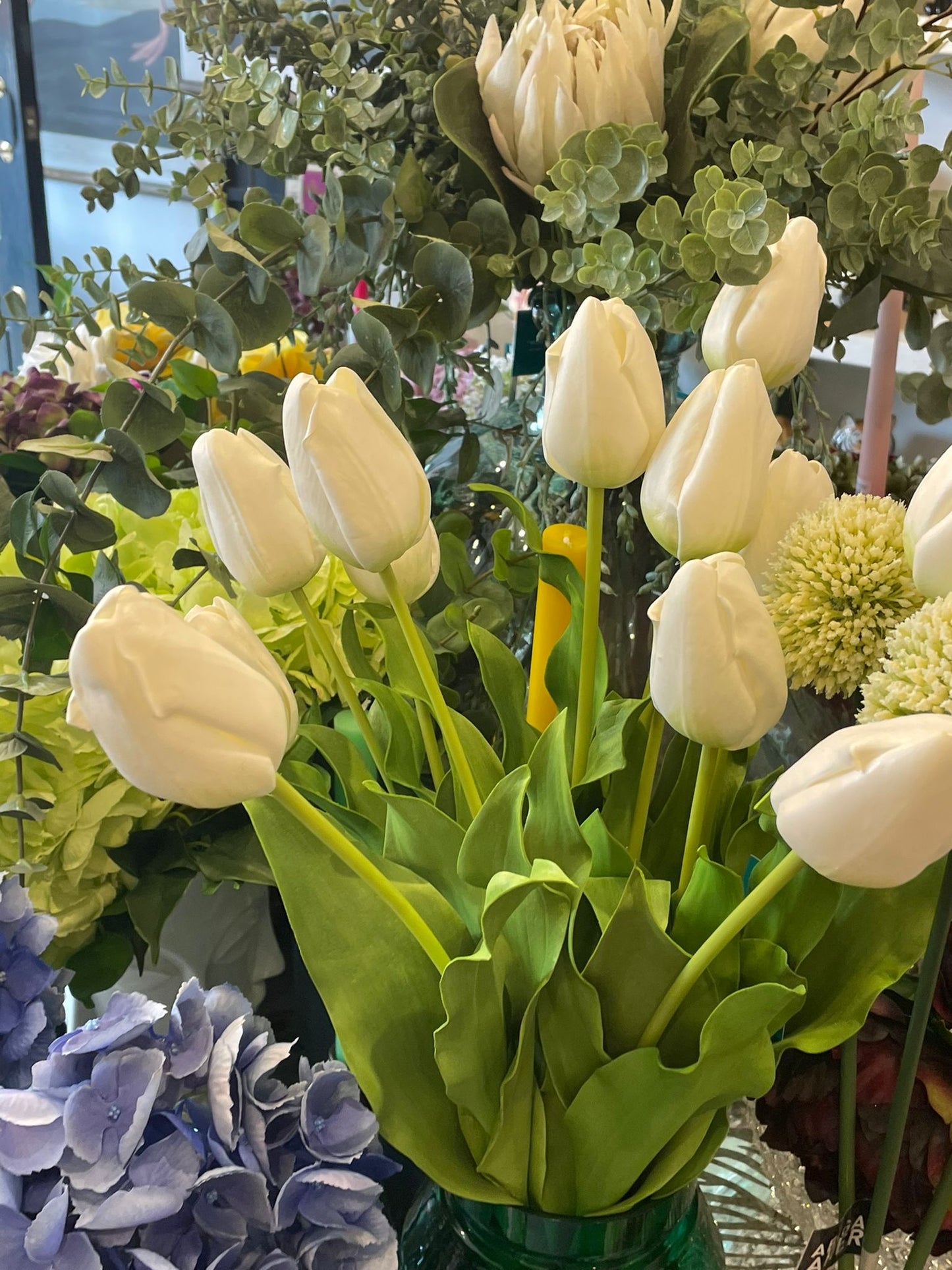 Tulip White
