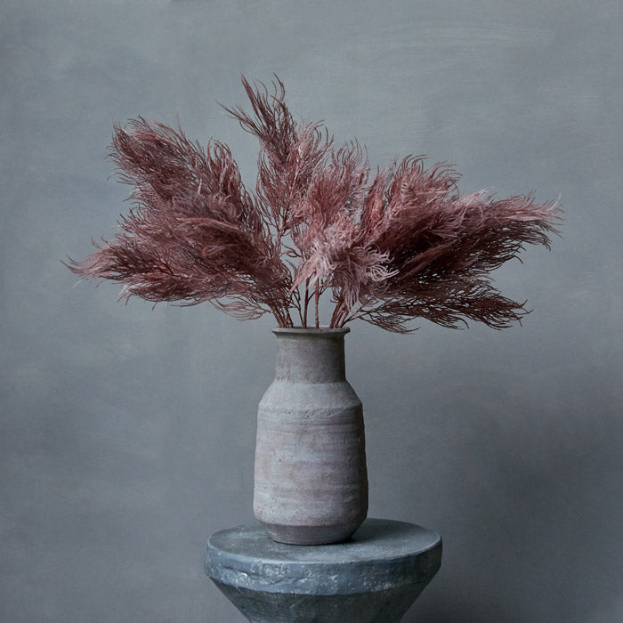 Crimson Pampas Cloud