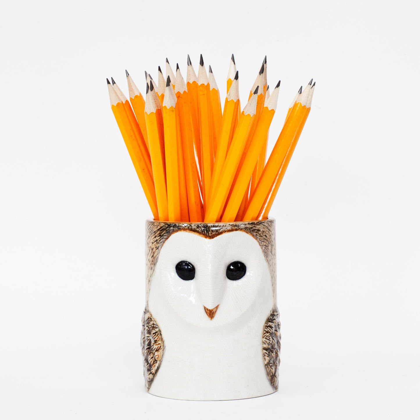 Barn Owl Pen Pot