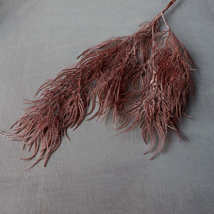 Crimson Pampas Cloud