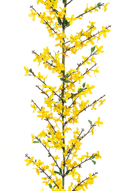Forsythia Spring Garland