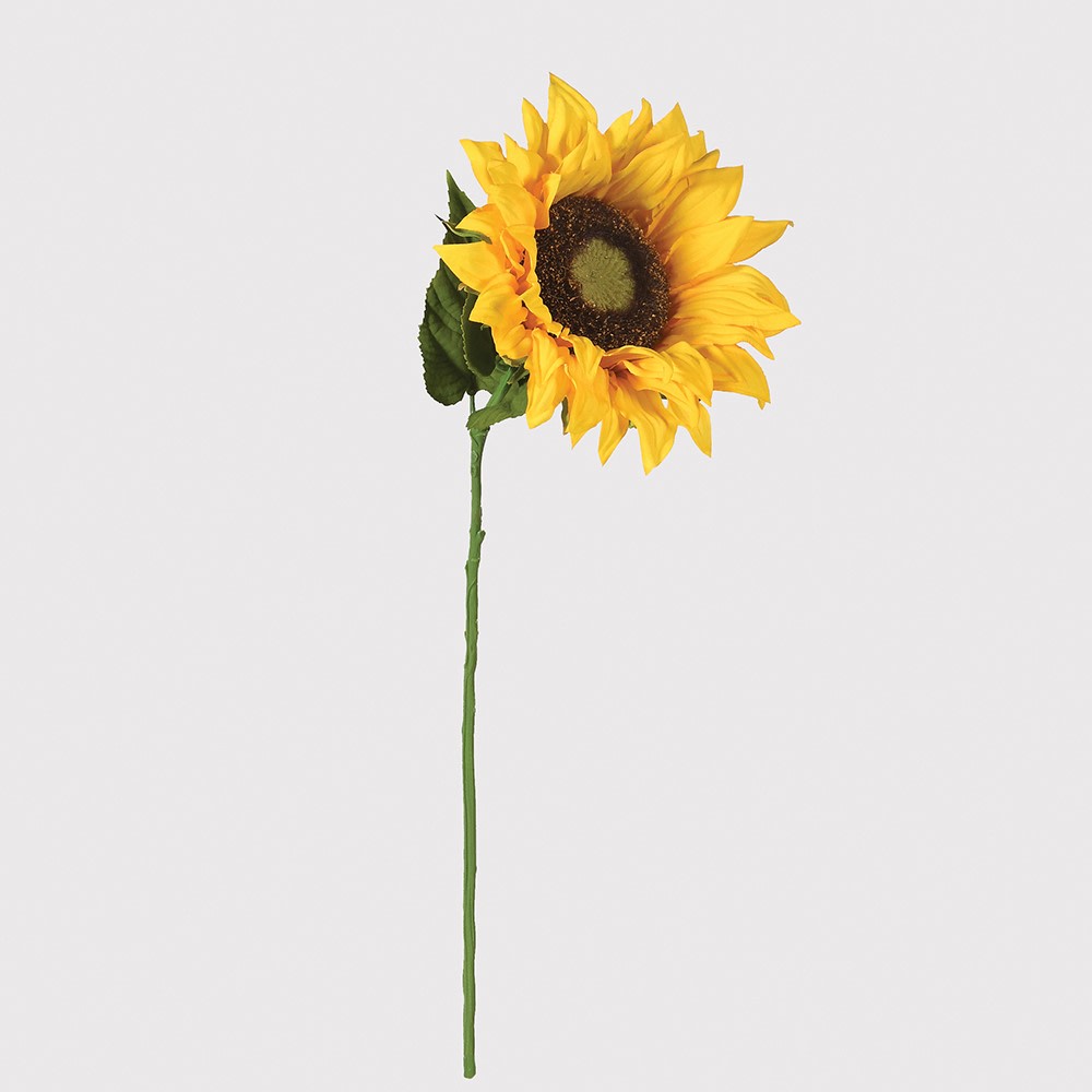 Sunflower Stem
