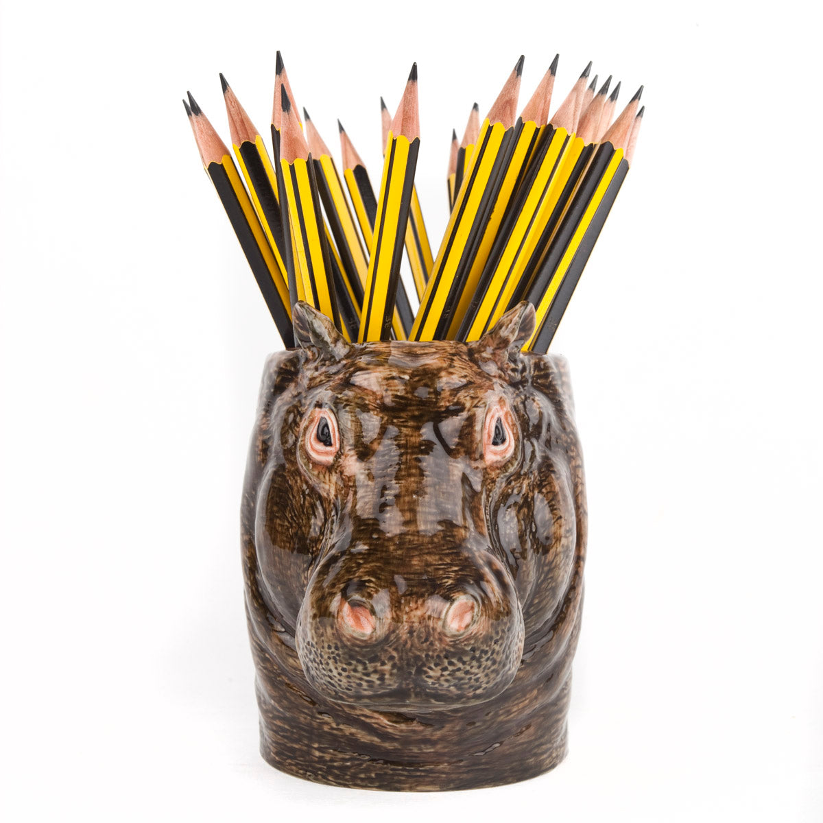 Hippo Pen Pot