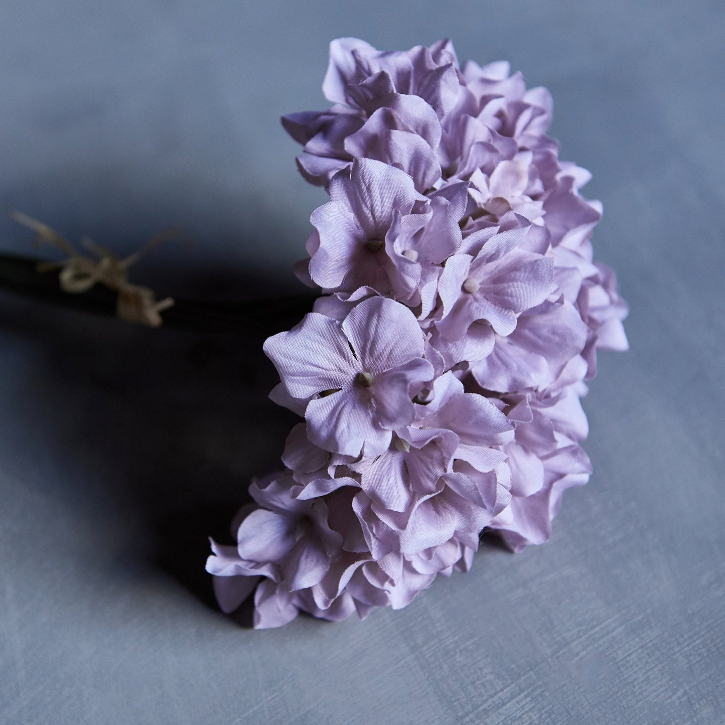 Short Hydrangea Mallow