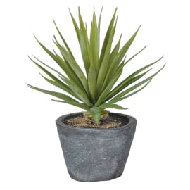 Green Spiky Faux Air-plant in Dark Grey Pot