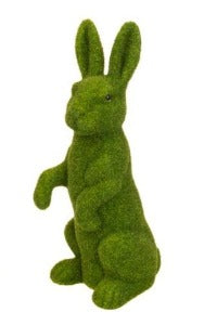 Green Moss Rabbit