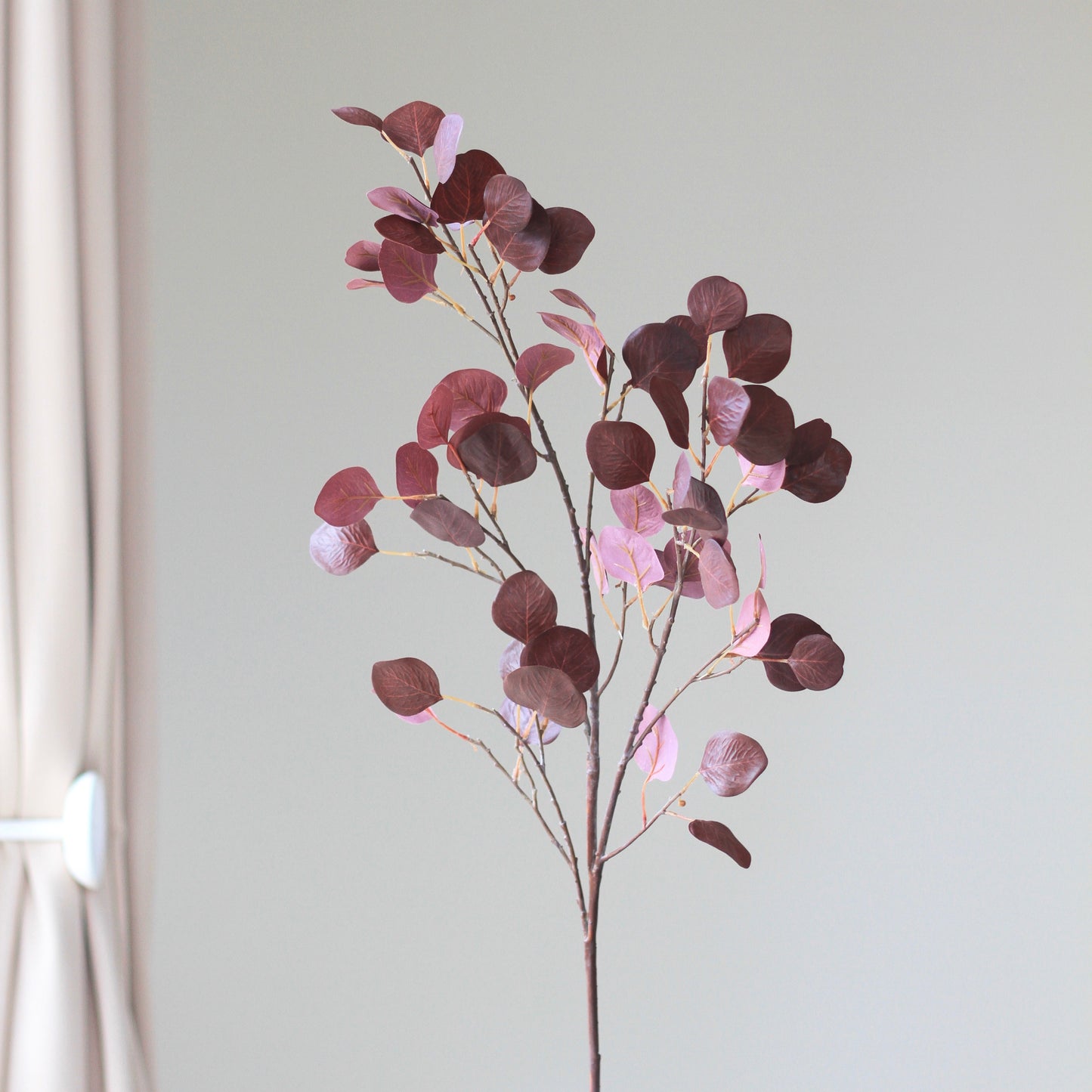 Red Leaf Branch
