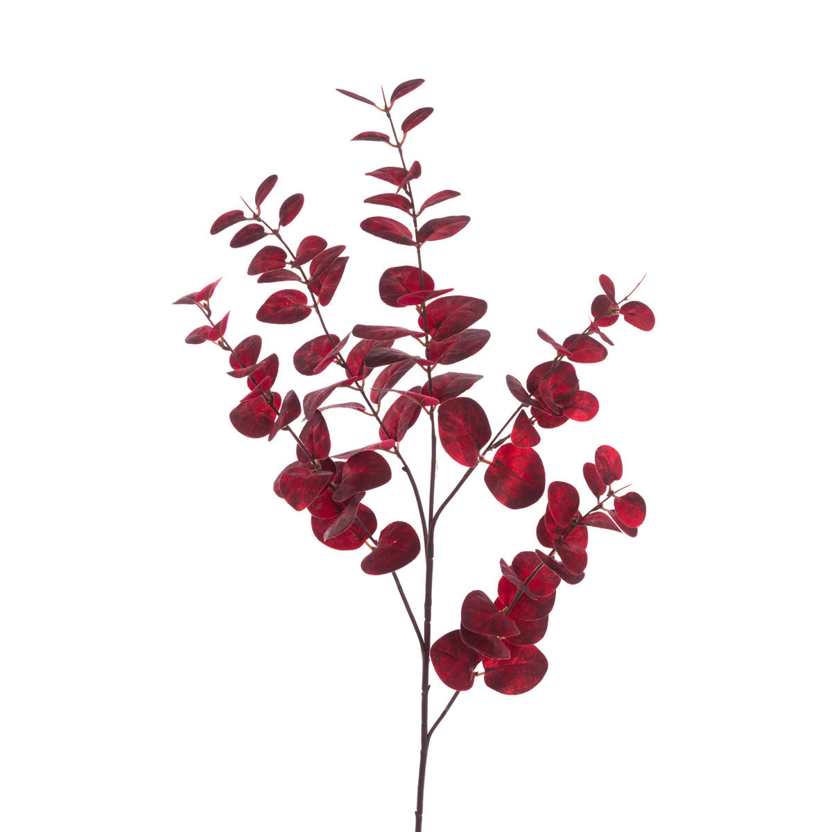 Ruby Red Eucalyptus Spray