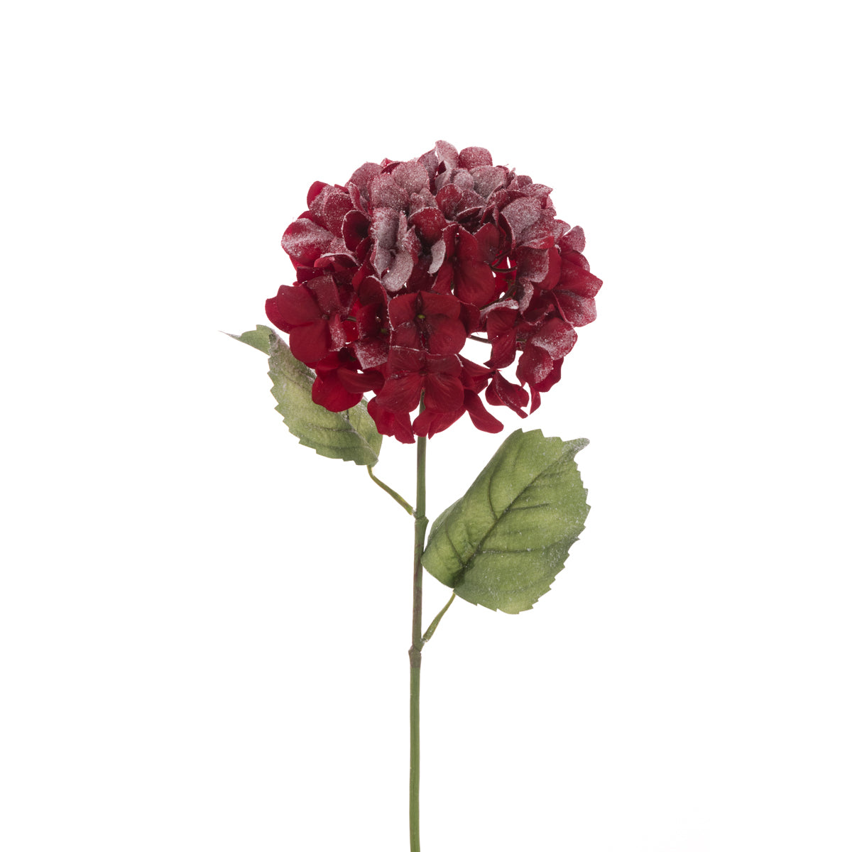 Frosted Deep Red Hydrangea Stem