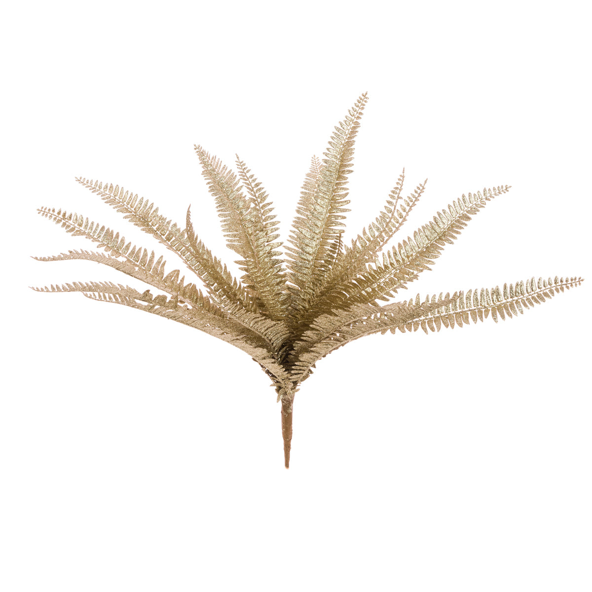 Glittered Gold Boston Fern