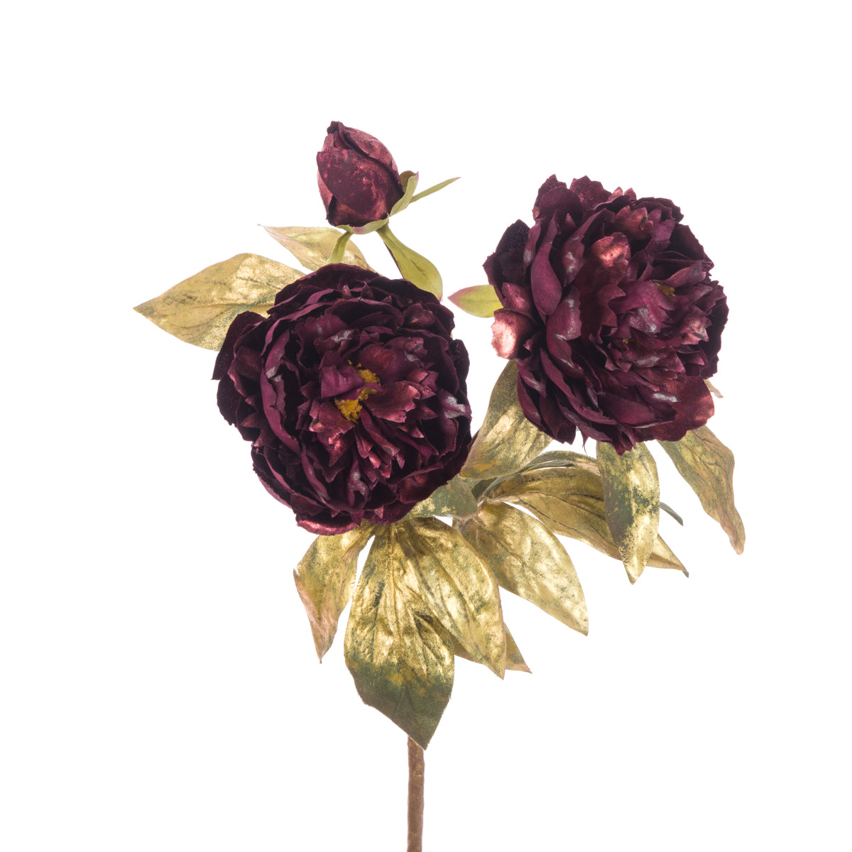 Gold Gilded Aubergine Peony Stem