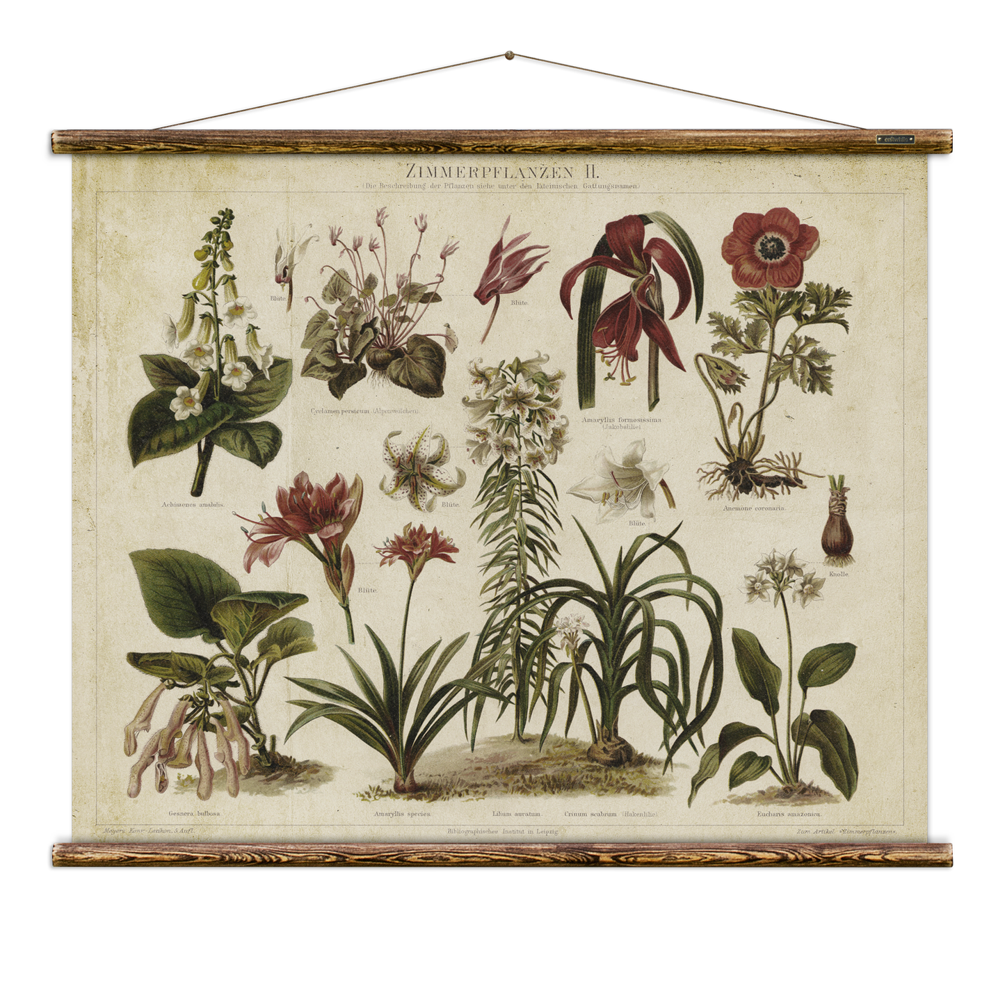 Zimmerpflanzen Wall Hanging Chart