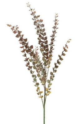 Dusky Purple & Green Barberry Spray