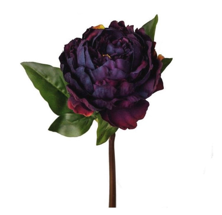Plum Peony
