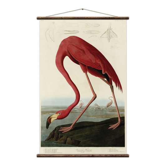 American Flamingo Wall Hanging Print