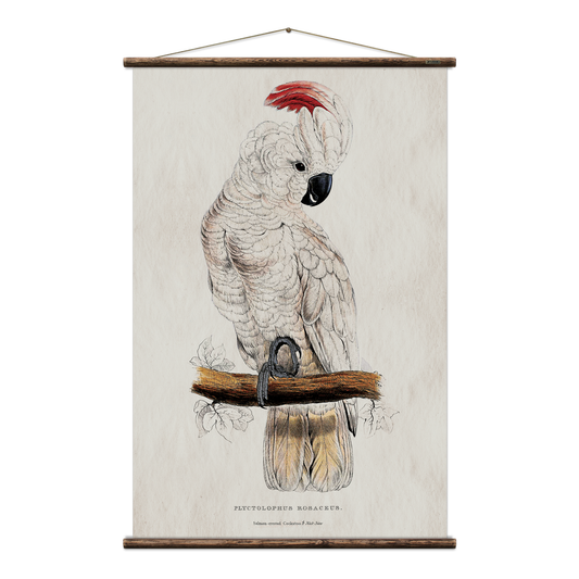 Cockatoo Wall Hanging Print