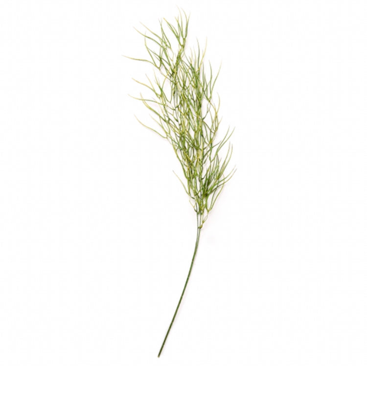 Giant Meadow Horsetail Stem Faux