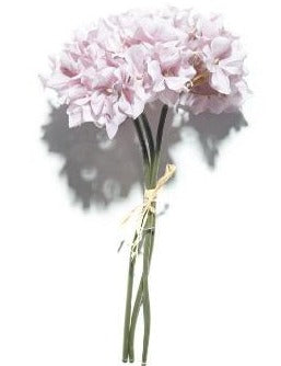 Short Hydrangea Mallow