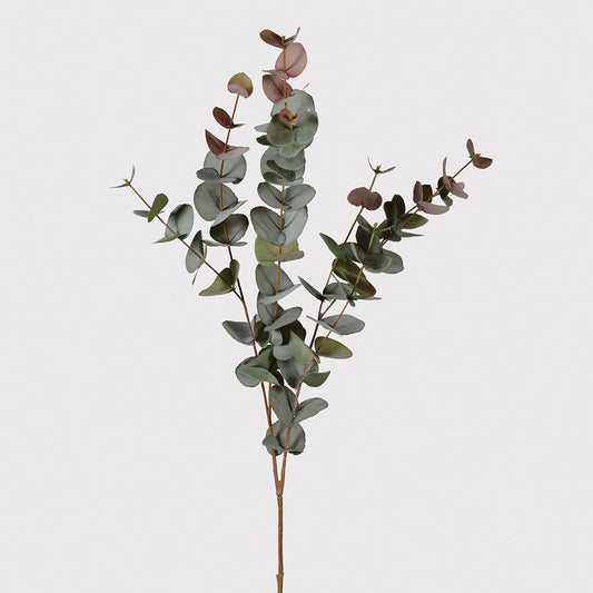 Natural Blush Eucalyptus Stem