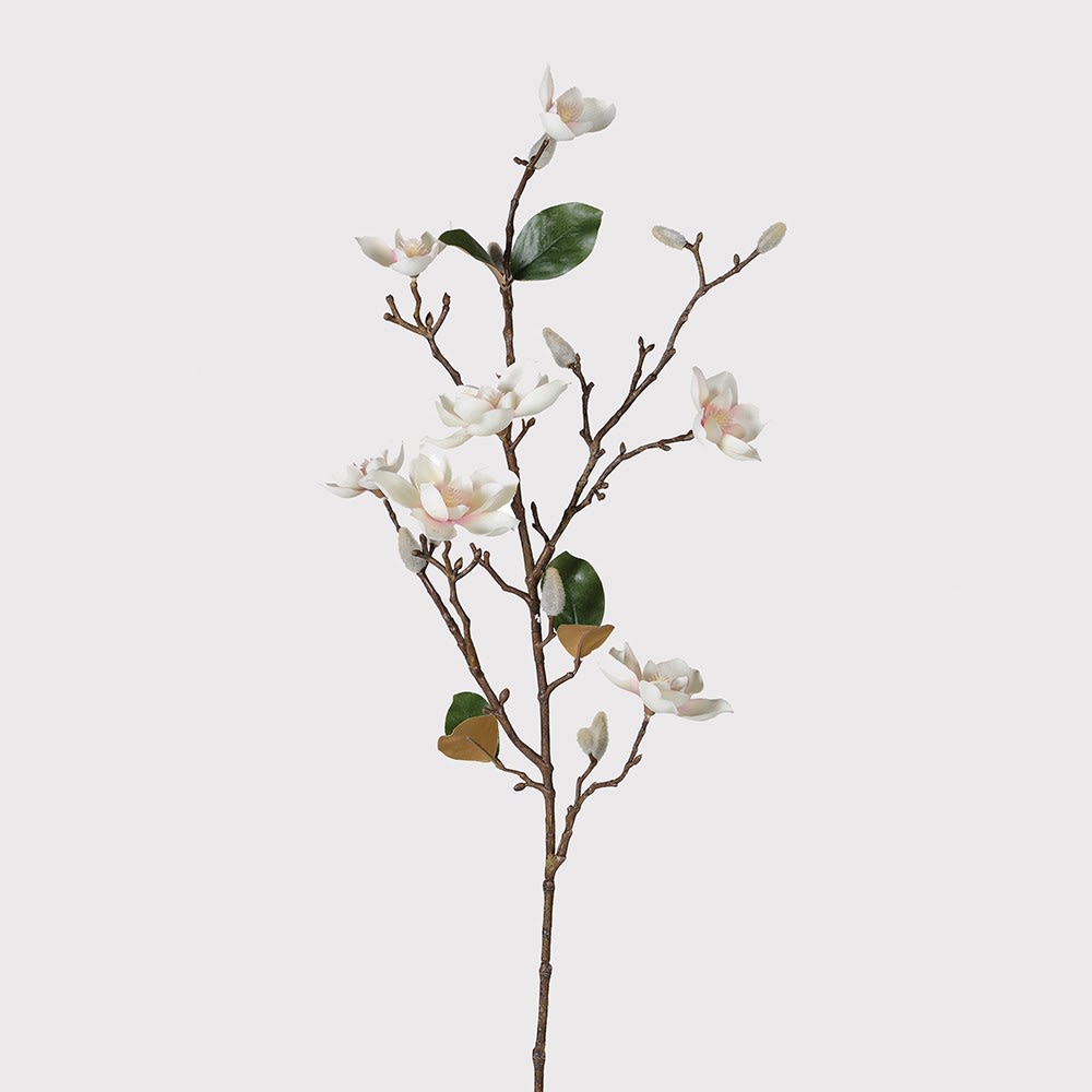 Magnolia Stem with a hint of pink.