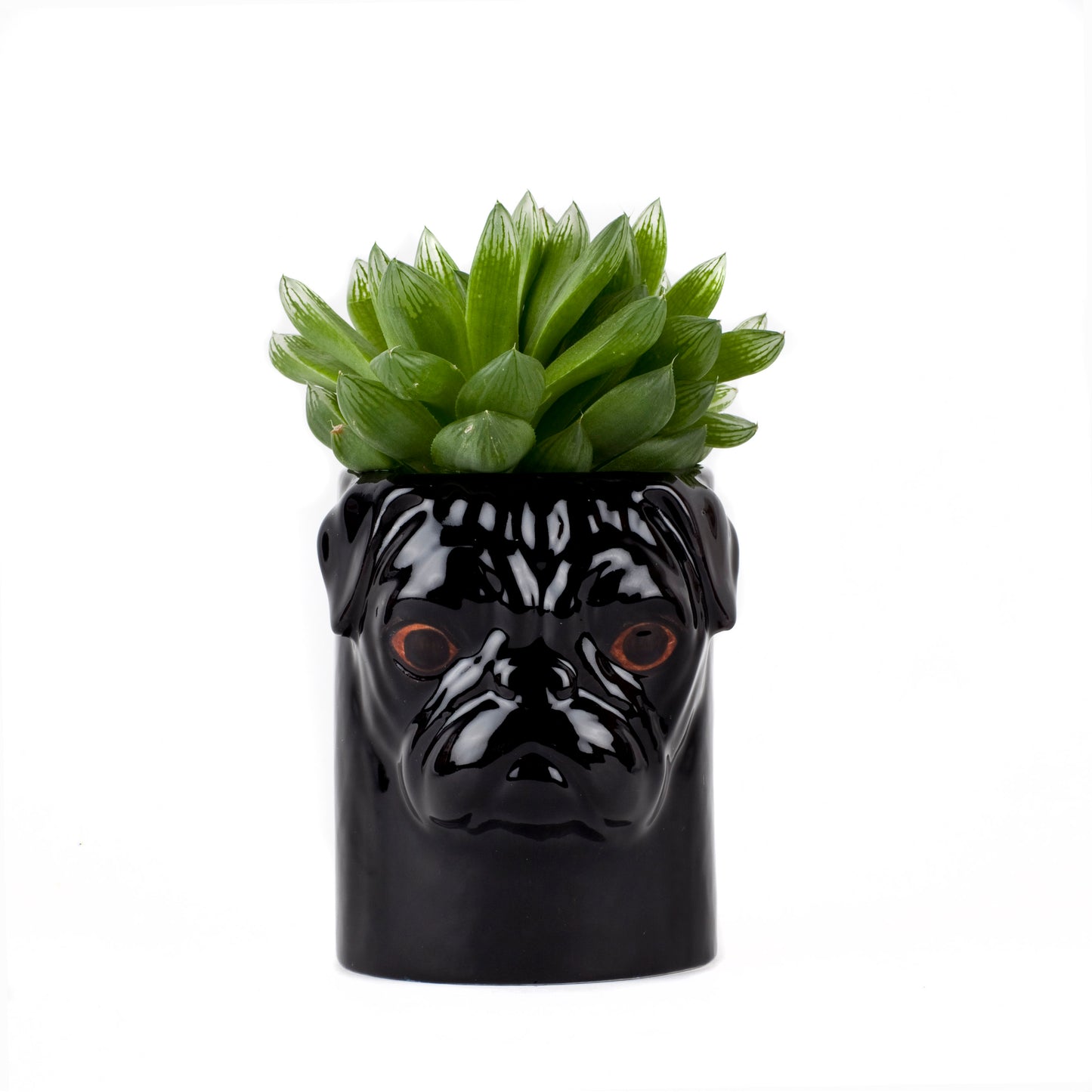 Pug Pen Pot Black