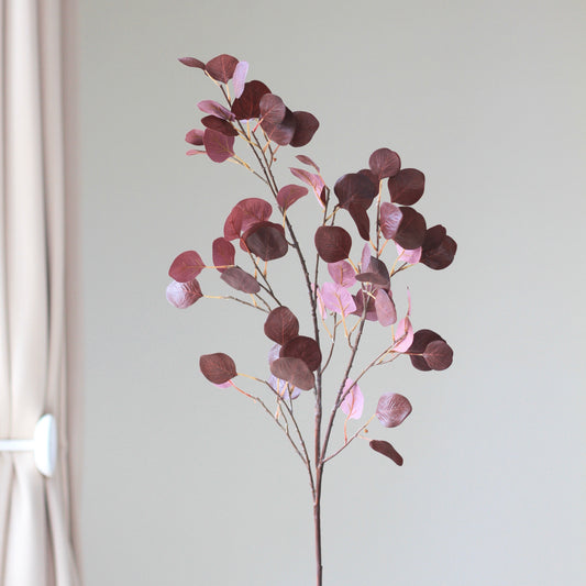Red Leaf Branch