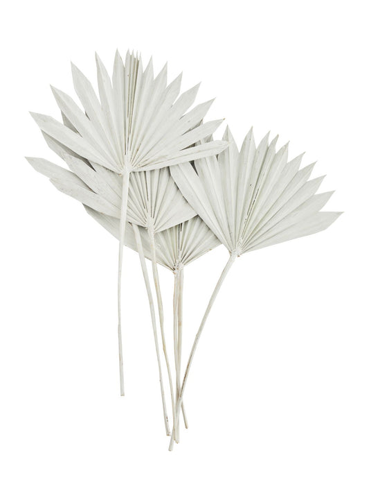 Boho Palm Stem Bunch