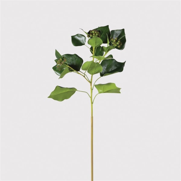 Ivy Leaf Stem