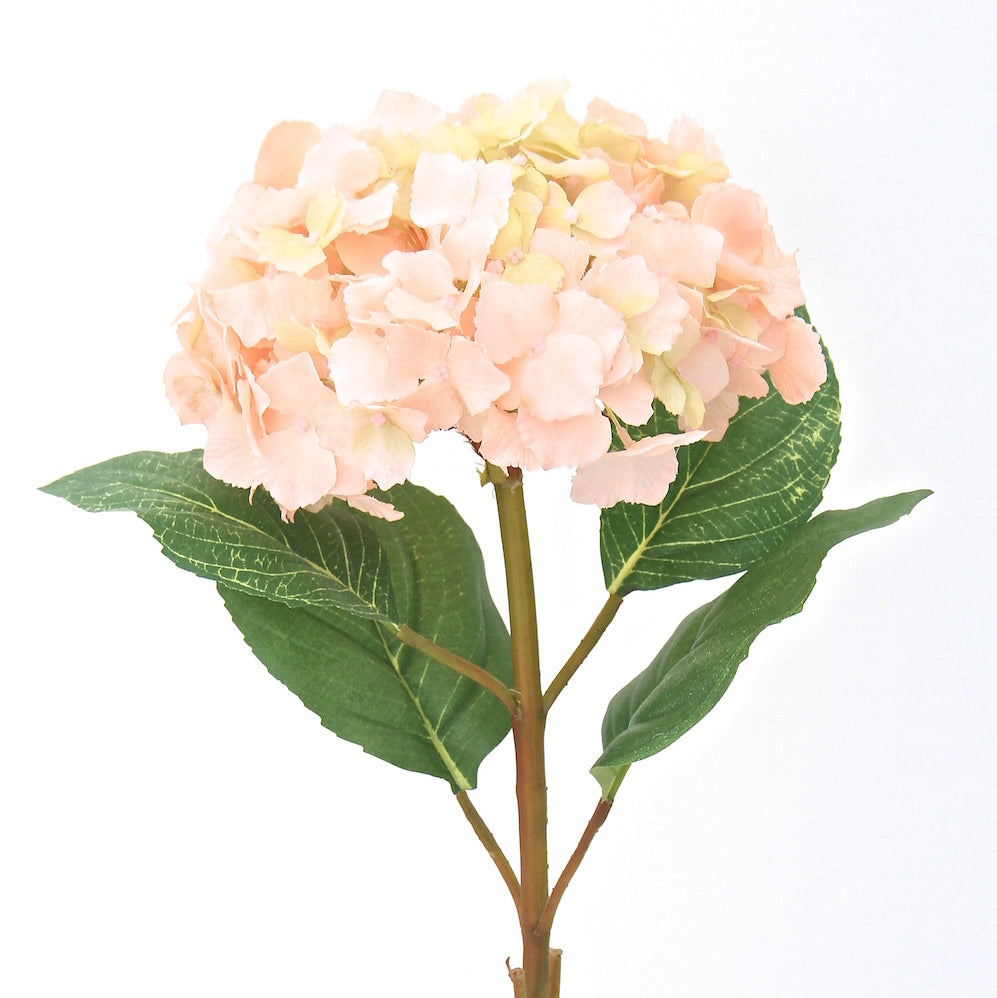 Hydrangea Lace Top Pale Pink