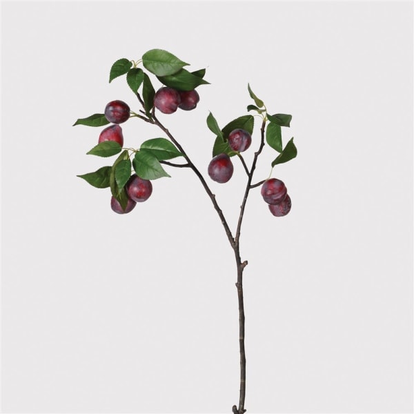 Plum Fruit Branch